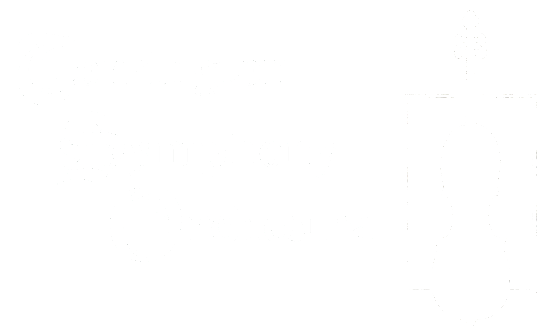 The Torrington Symphony Orchestra